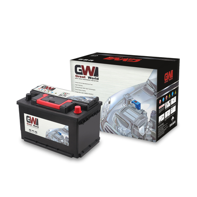 Voiture de marque GW Great World